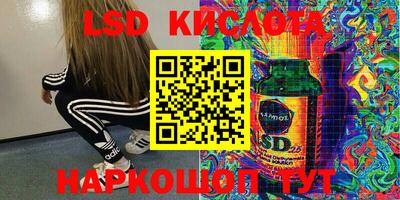 mdpv Можга