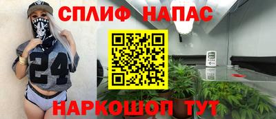 mdpv Можга