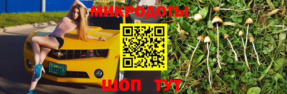 Всеволожск  где можно купить наркотик  Вход с VPN  Псилоцибиновые грибы прущие грибы 